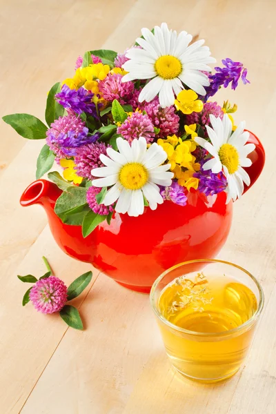 Красный чайник с букетом целебных трав и цветов — стоковое фото