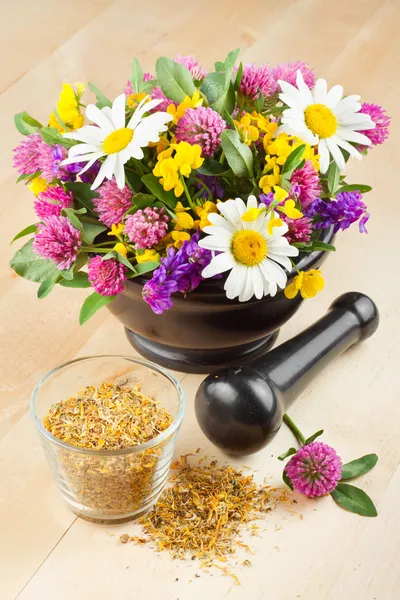 Mörser mit heilenden Kräutern und Blumen, alternative Medizin — Stockfoto
