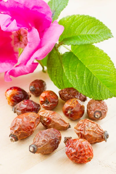 stock image Rose hips berry and rose-hip flower