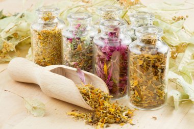 Healing herbs in glass bottles, herbal medicine clipart