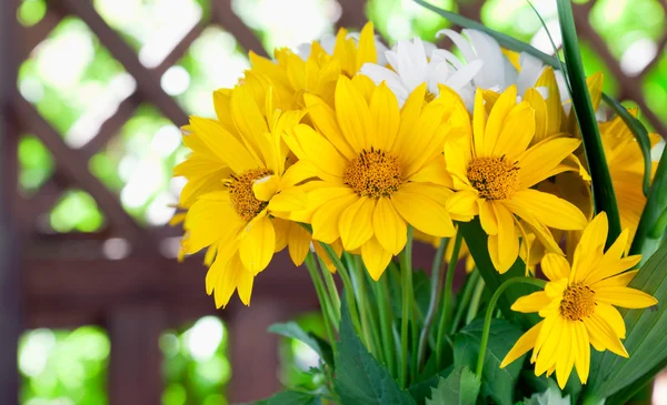 Summer bouquet of yellow flowers — Stock Photo, Image