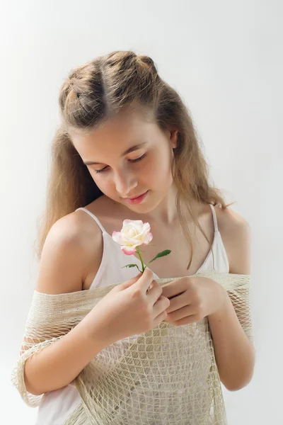 Young rose — Stock Photo, Image