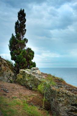 Cape Kaliakra