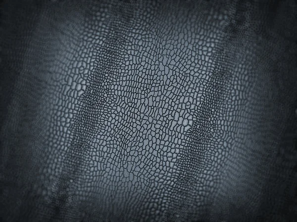 Tekstury skóry aligatora lub tło z płytkich dof — Zdjęcie stockowe