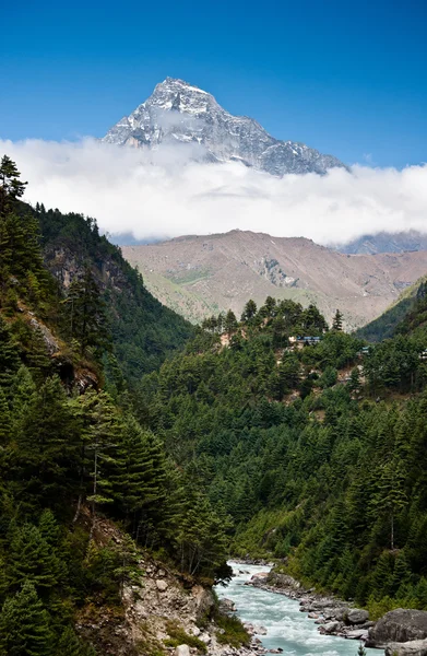 Himalaya mountains landschap: peak, stream en bos — Stockfoto