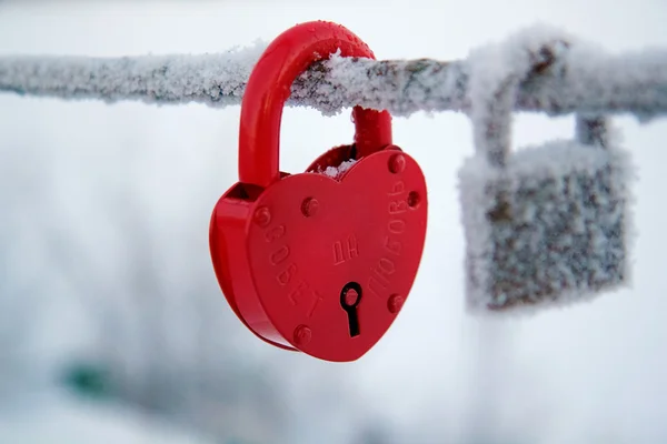 Stock image Wedding lock