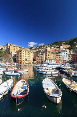 Harbor with fishimg boats clipart