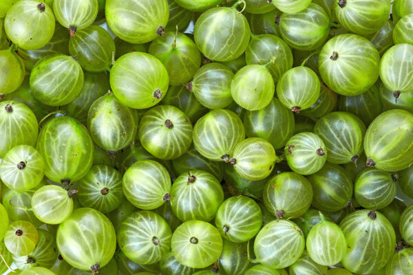 Gooseberries background