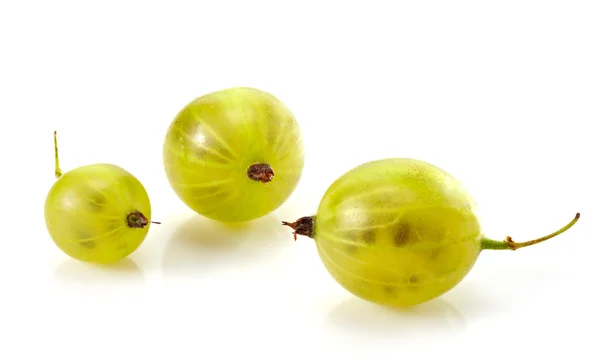 Fruta de groselha espinhosa verde close-up — Fotografia de Stock