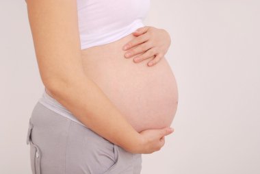 Pregnant woman's belly clipart