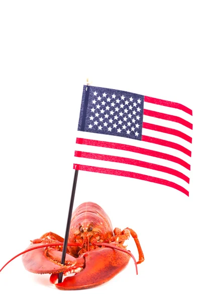 Langosta con bandera americana — Foto de Stock
