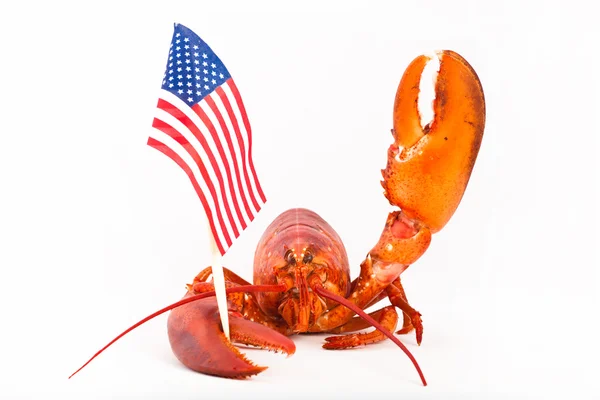 熟的龙虾船旗国和凸起的爪 — 图库照片