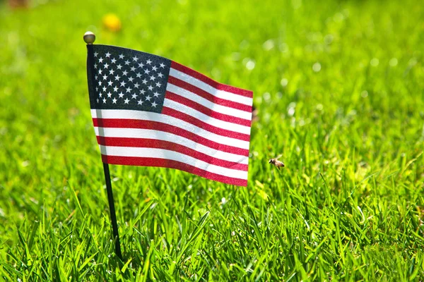 草の上にアメリカ国旗 — ストック写真