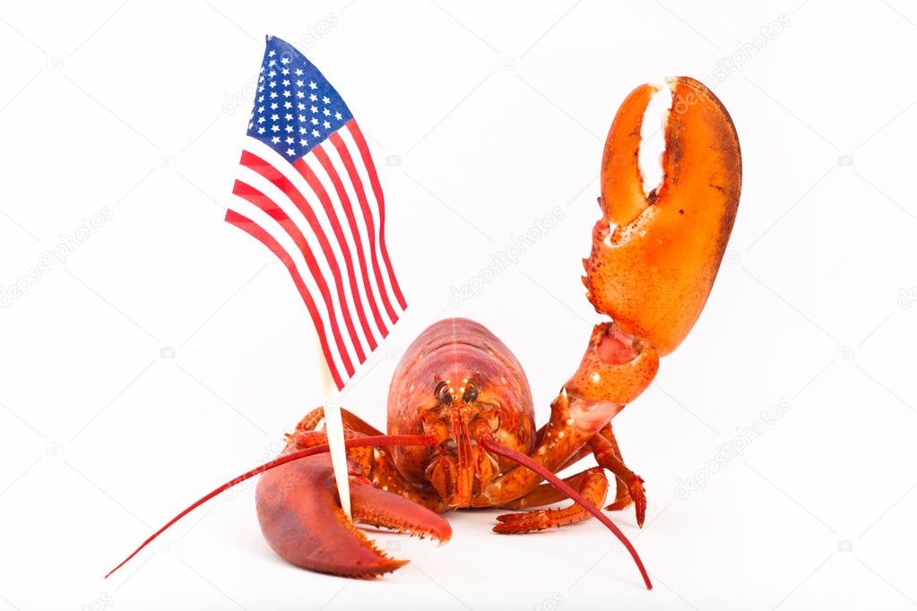 Cooked lobster with flag and raised claw