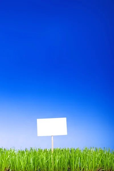 Κενό λευκό Τραγουδήστε στον τακτοποιημένα καθαρισμένα πράσινο γρασίδι κατά ένα μπλε ΒΑ — Φωτογραφία Αρχείου