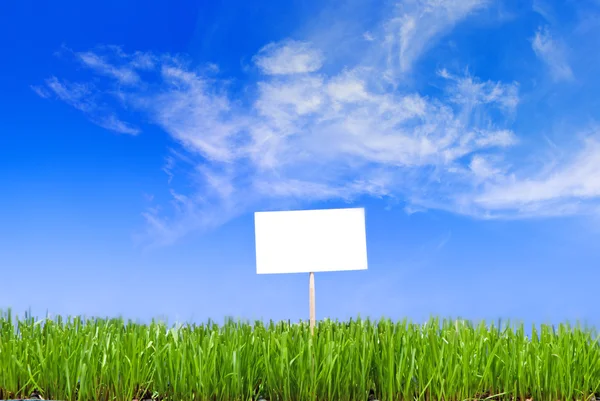 Prázdné bílé sing zastřižený zelené trávě proti modré cl — Stock fotografie