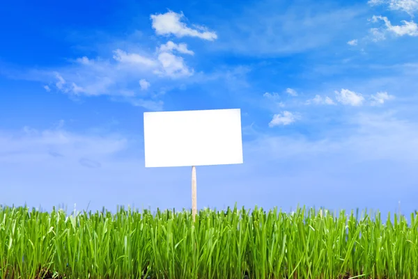 Blank white sing on neatly trimmed green grass against a blue cl — Stock Photo, Image