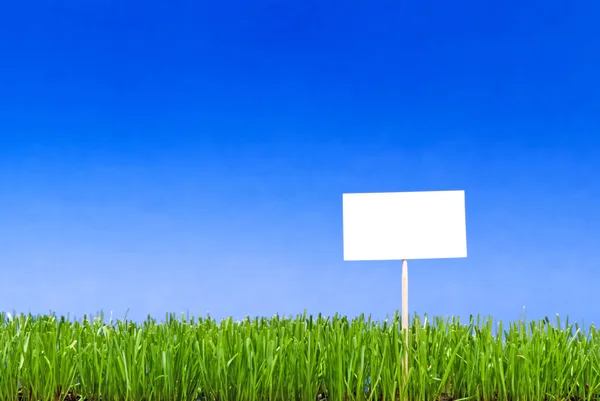 Blank white sing on neatly trimmed green grass against a blue ba — Stock Photo, Image