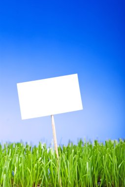 Blank white sing on neatly trimmed green grass against a blue ba clipart