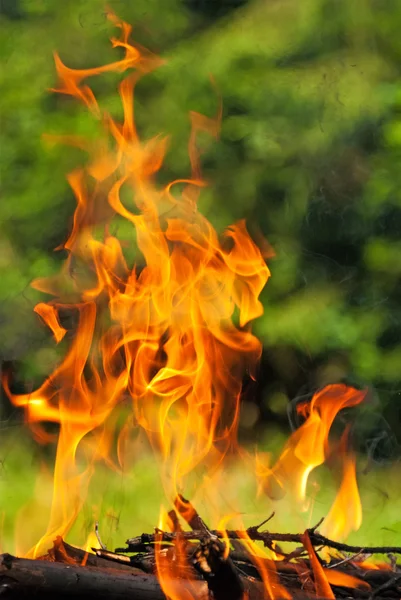 Le feu du bois brûlé — Photo
