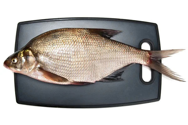 Sargo de peixe fresco em uma tábua de corte em um fundo branco — Fotografia de Stock
