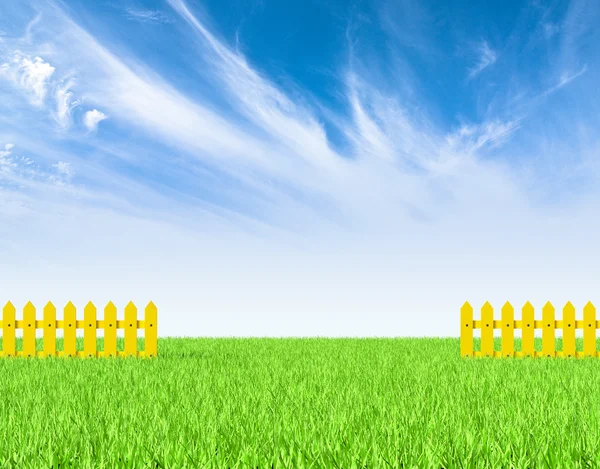 Groen veld en gele hek — Stockfoto