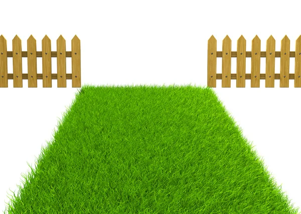 Зеленое поле и деревянный забор — стоковое фото