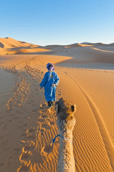 Berber chodzenie z wielbłąda w erg chebbi, Maroko — Zdjęcie stockowe