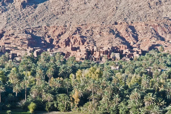 Georges todra vallei aan Marokko — Stockfoto