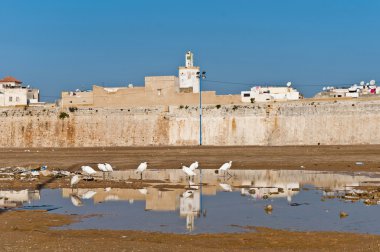 Mazagan Fortress at El-Jadidia, Morocco clipart