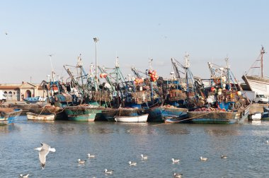 Seaport Essaouira, morocco