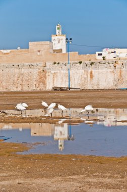 Mazagan Fortress at El-Jadidia, Morocco clipart
