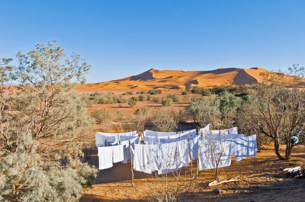 Erg 沙比在摩洛哥的沙丘 — 图库照片