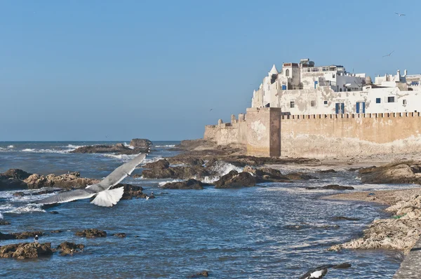 索维拉，摩洛哥的防御性城墙 — 图库照片