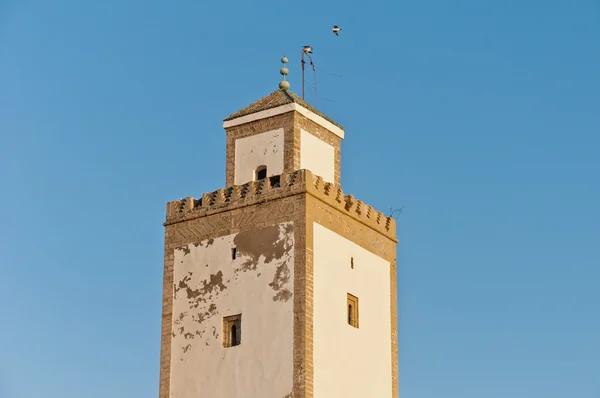 Obranná věž v essaouira, Maroko — Stock fotografie