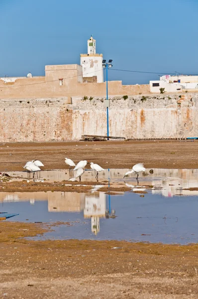 Mazagan fästningen på el-jadidia, Marocko — Stockfoto