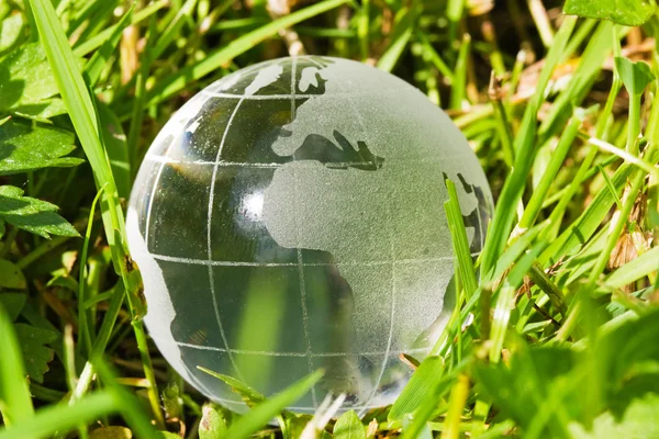 Glass globe in the grass — Stock Photo, Image