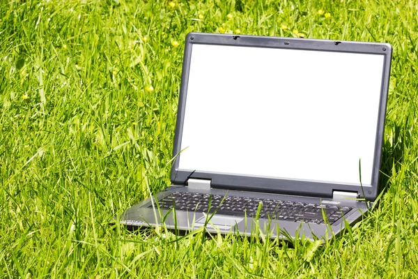 Laptop på gräset — Stockfoto