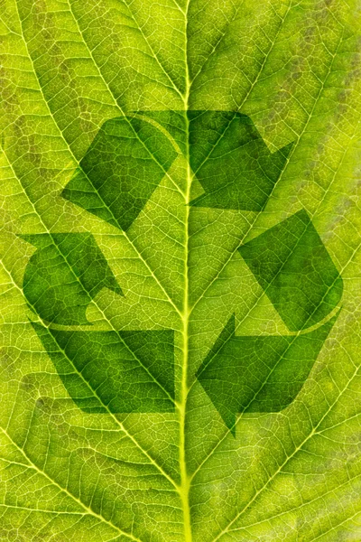 Conceito de reciclagem ecológico — Fotografia de Stock