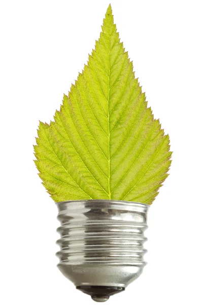 Light bulb with leaf — Stock Photo, Image