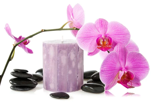 Orquídea, velas aromáticas y piedras negras — Foto de Stock