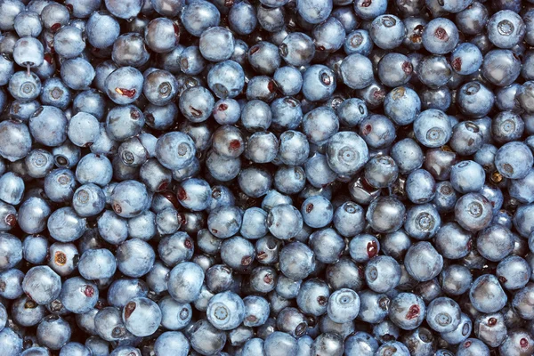 stock image Background of freshly picked blueberries