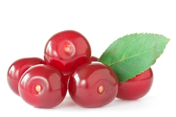 Cherries with a green leaf — Stock Photo, Image