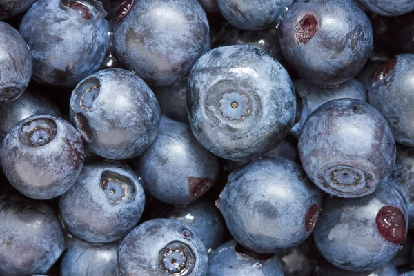 Stock image Blueberries background