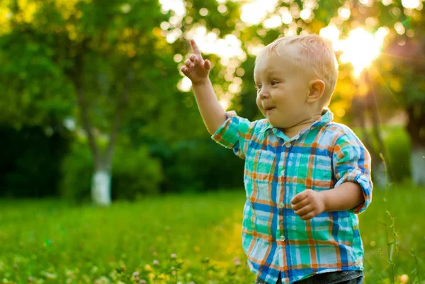 stock image Summer portrait of beautiful baby boy on a grass