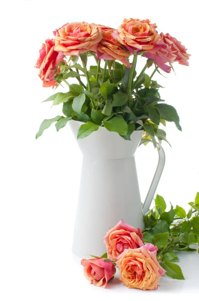 Regeling met rozen — Stockfoto