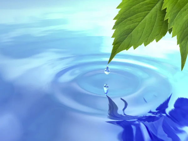 Droppe falla från blad på rippel vatten. — Stockfoto