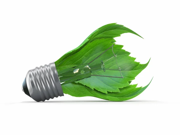 Ecologie concept. lamp met blad — Stockfoto