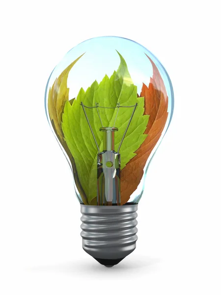 Ekologi koncept. glödlampa med blad — Stockfoto