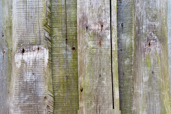Unbemalte Holzwand — Stockfoto